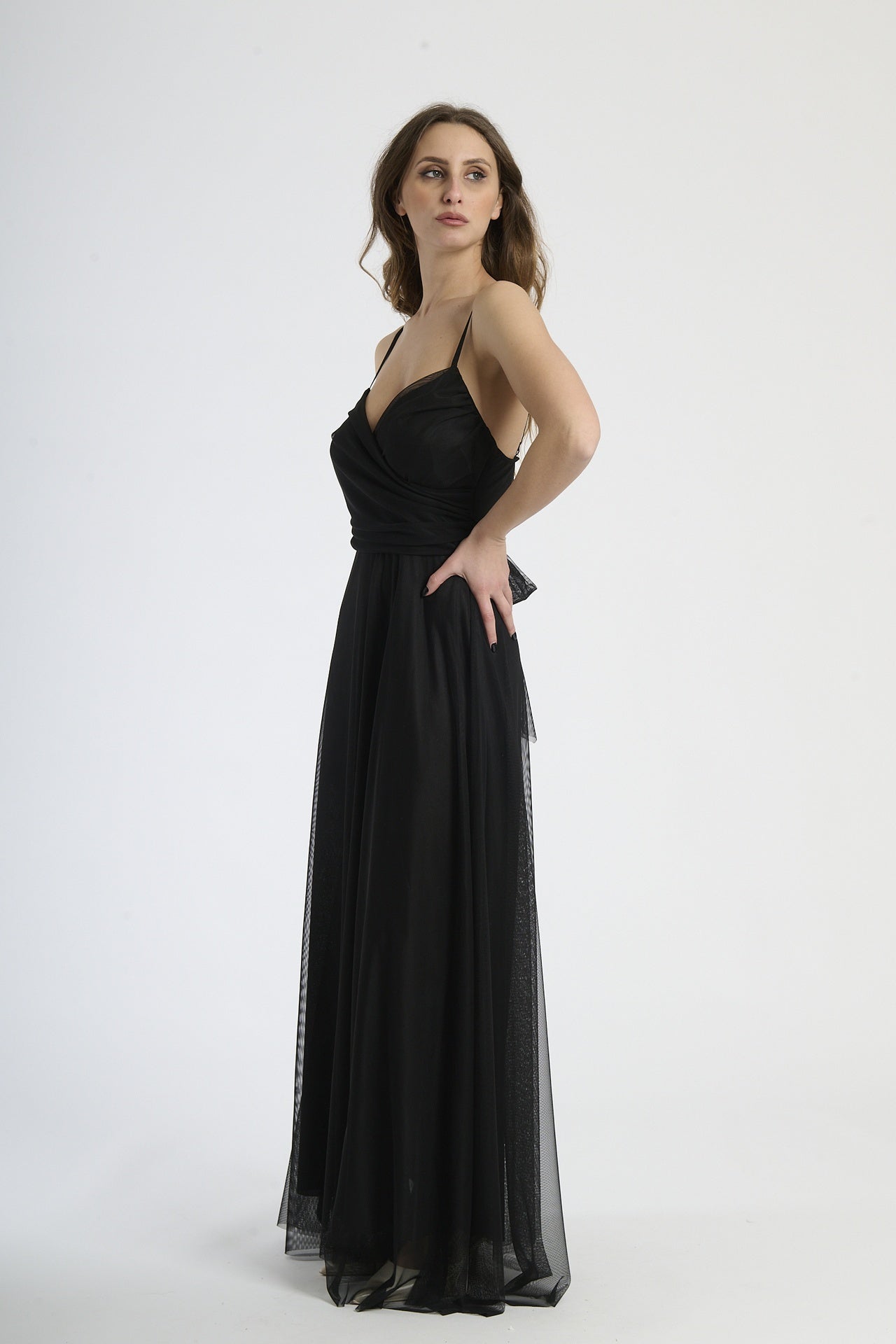 Morena 20016
